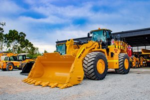 Big-Cat-FB2.jpg