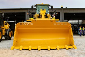 Big-Cat-FB3.jpg Big-Cat-FB3.jpg
