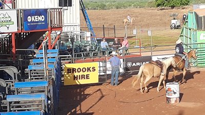 240904_BH_Noonamah-Rodeo_Sponsored_3.jpg