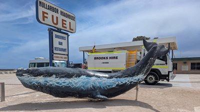 250312_BH_2-Water-Trucks-Heading-to-Adelaide_4.jpg