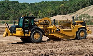 cat627-1.jpg