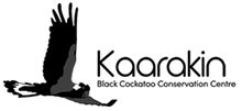 Kaarakin